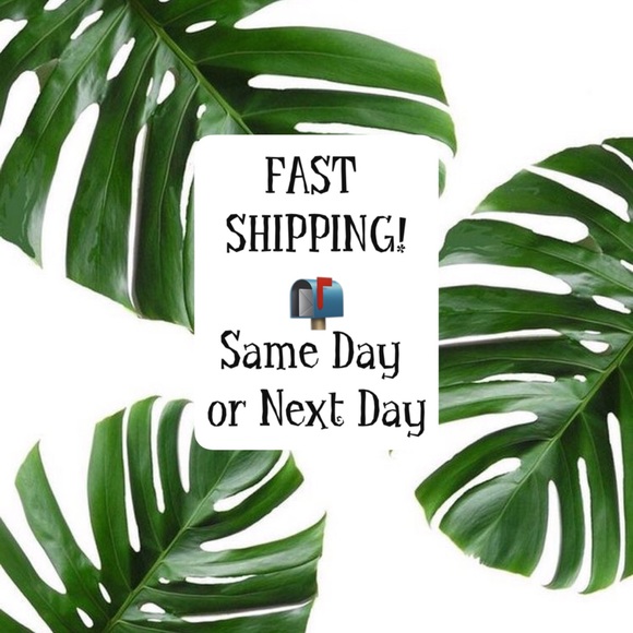 Fast Shipping - Picture 1 of 2